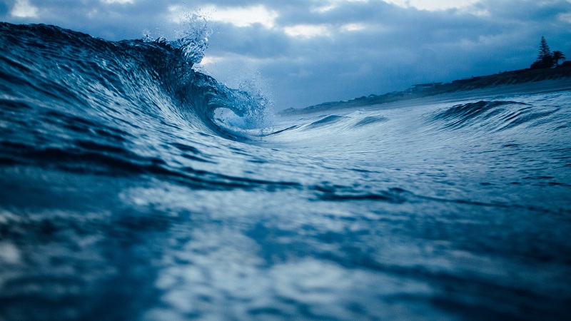 Somos agua … los océanos nos dan la vida