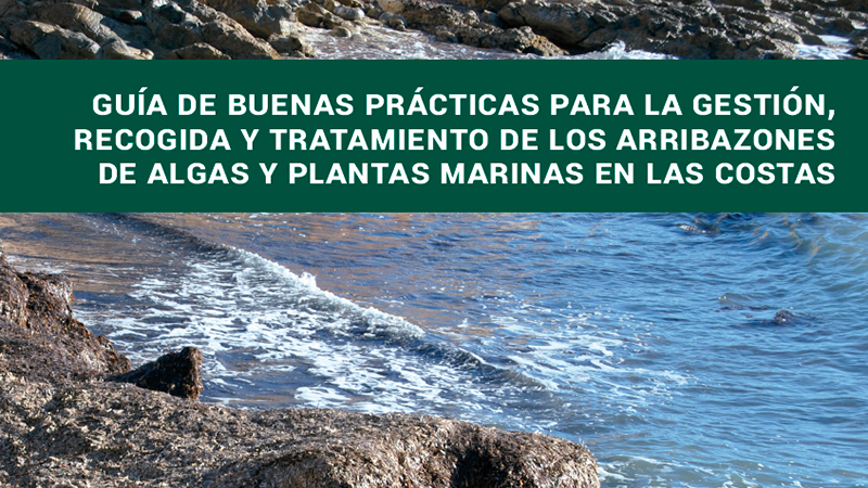 Guía de buenas prácticas para la gestión, recogida y tratamiento de los arribazones de algas y plantas marinas en las costas