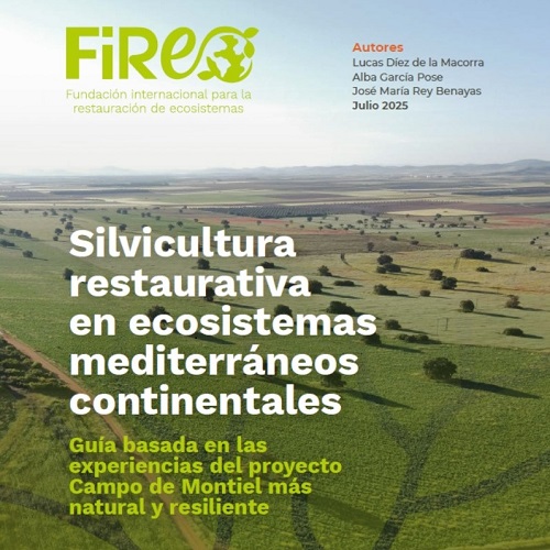 Guía sobre silvicultura restaurativa: montes más resilientes y vivos
